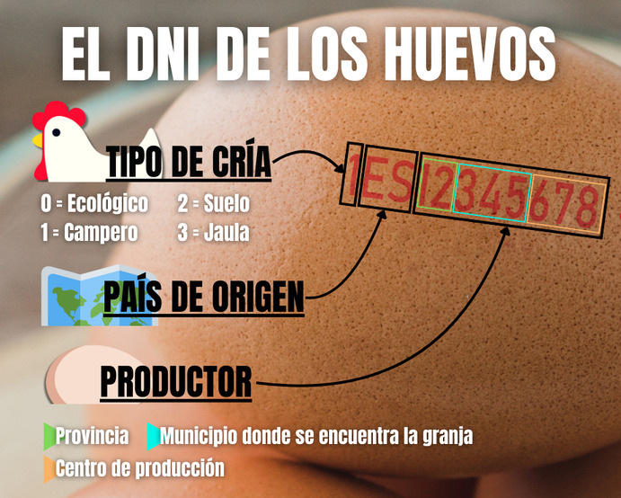 Significado de los números impresos en el huevo, etiquetado del huevo