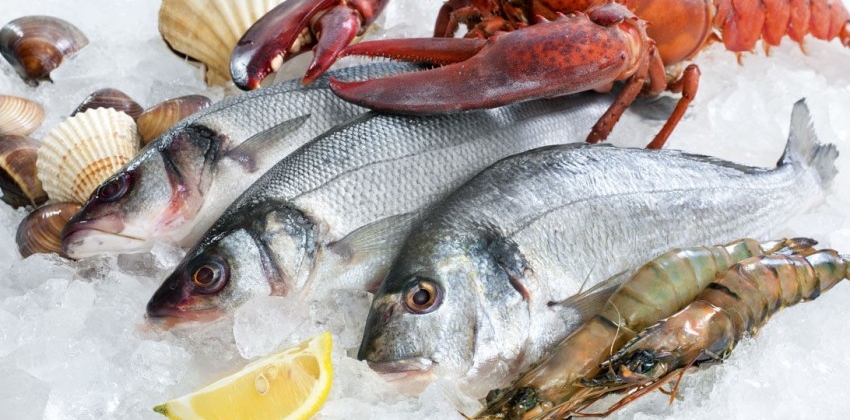 Cómo calcular la cantidad de pescado y marisco más segura | Consumer