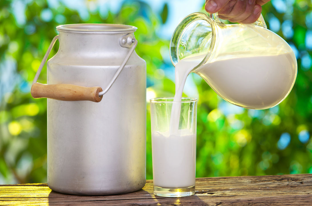 Leche en polvo sin lactosa