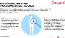 Enfermedad de Lyme por garrapatas