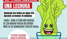 Cómo revivir una lechuga