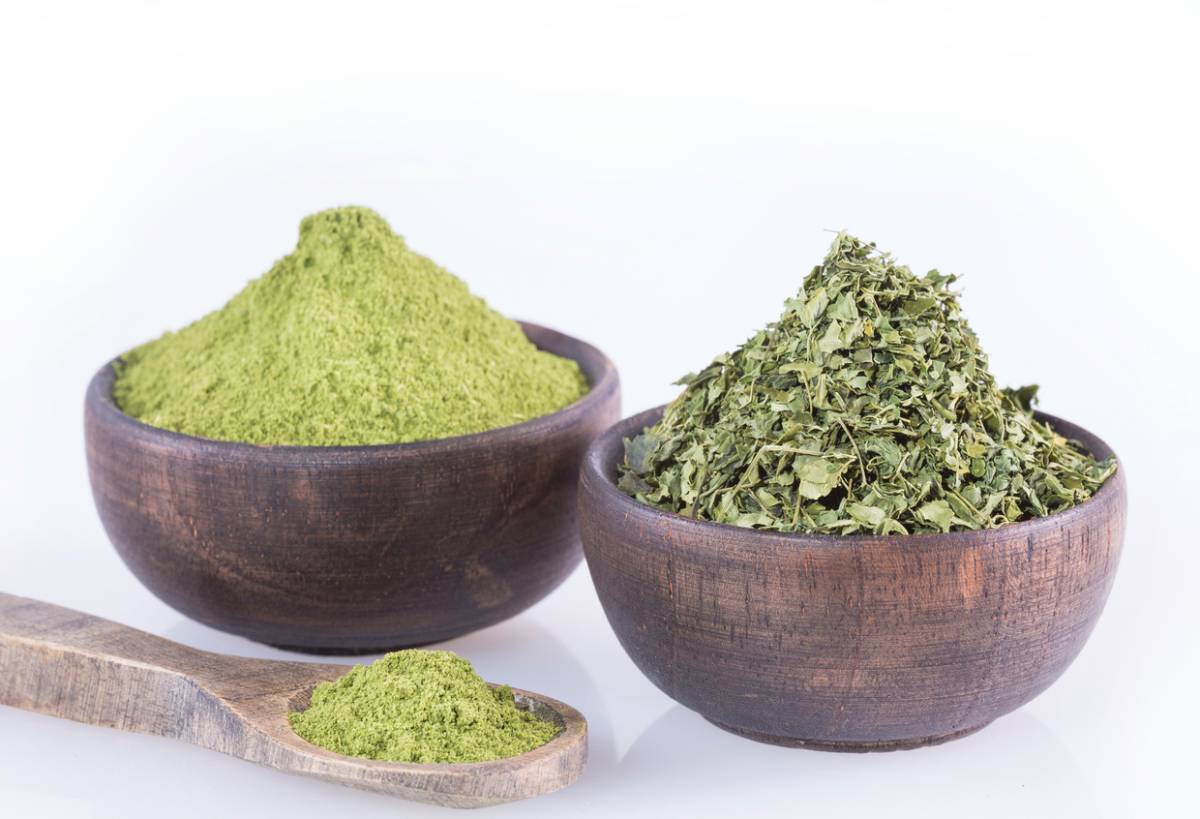 propiedades moringa