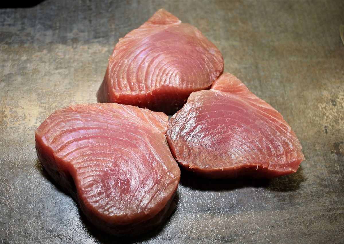 filetes de atún proteína saludable