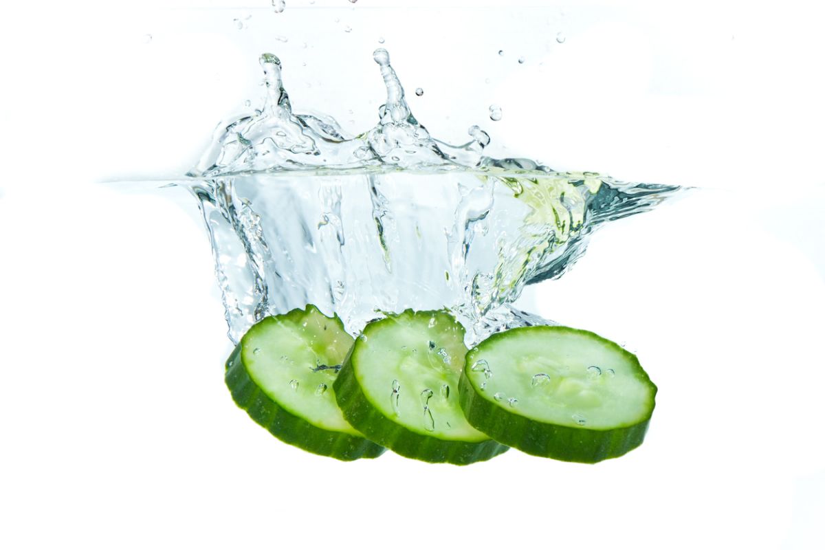 contenido de agua del pepino