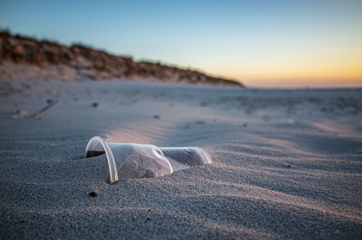 plásticos contaminación en playas
