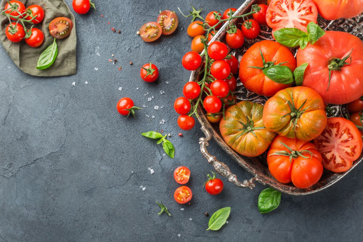 variedades de tomates