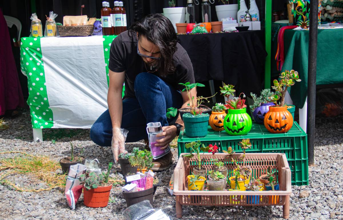 mercado comercio solidario