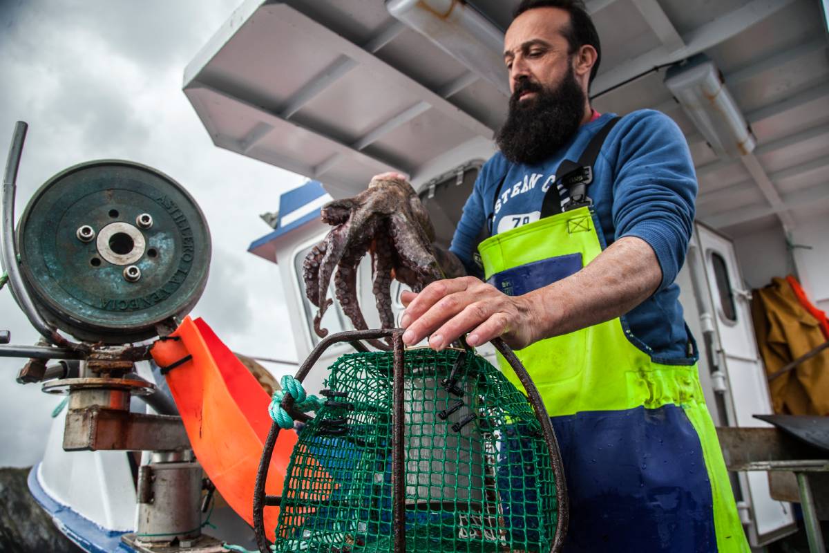 pesca sostenible pulpo