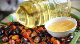 Img aceite palma salud port