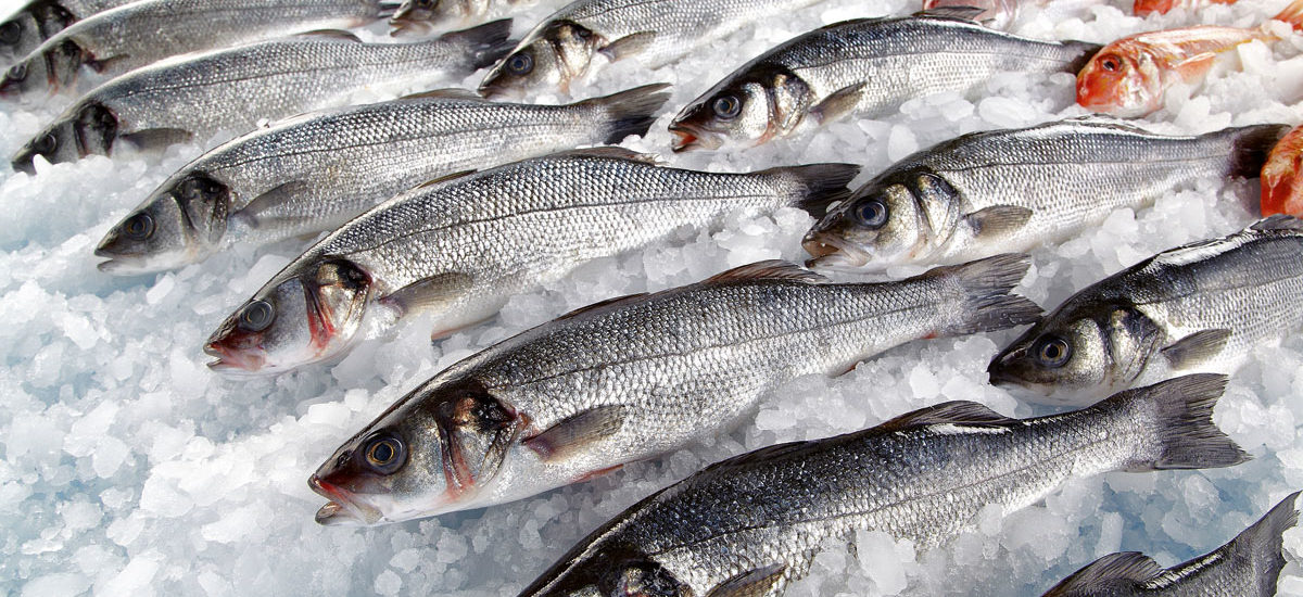 Pescado hielo