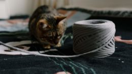 gato juguete lana