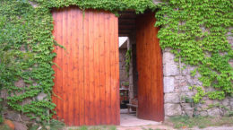 Img puerta madera