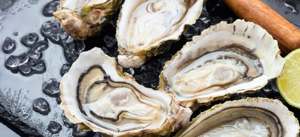 cómo elegir y servir ostras