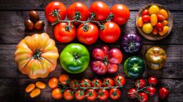 variedades de tomates y usos