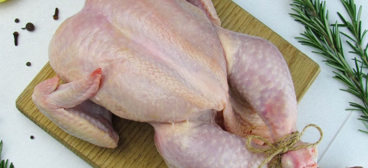 bacterias resistentes en el pollo