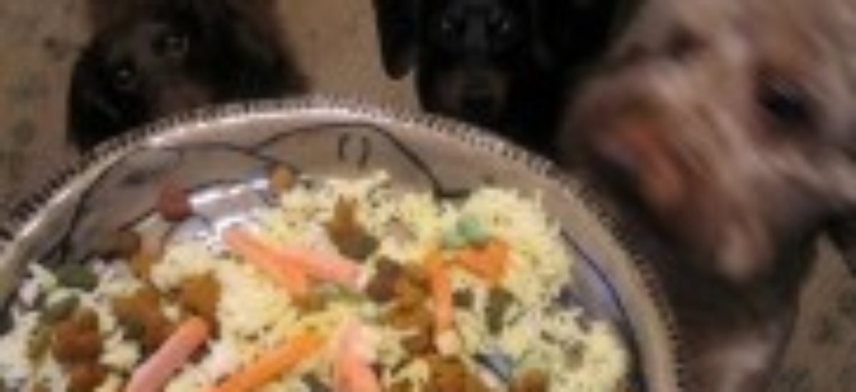 Cocina light para perros: cinco recetas | Consumer