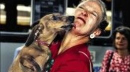 Img perros amor personas san valentin enamorados animales mascotas listado