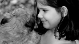 Img autismo infantil perros ninos animales terapia perros asistencia
