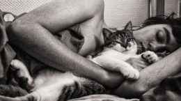 Img gatos beneficios relajar amor felinos contra estres mascotas salud humanos