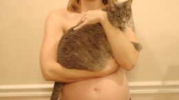Img embarazos gatos