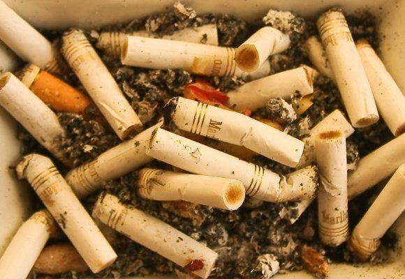 Tabaco Así Daña Al Medio Ambiente Consumer 