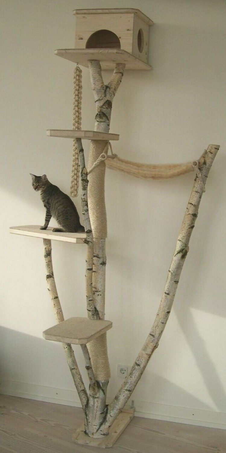 Once torres para gatos que puedes hacer en casa | Consumer