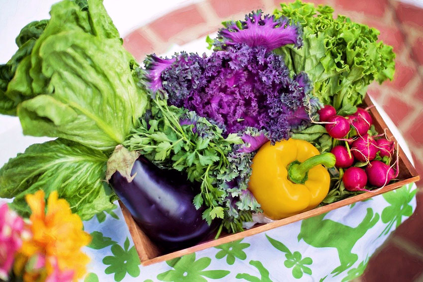 Cómo disponer de verduras de temporada todo el año