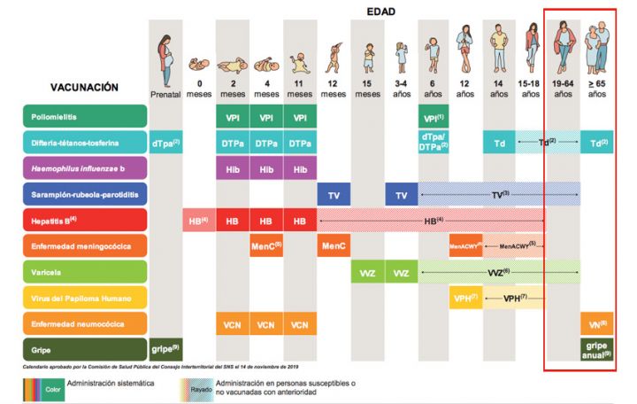 Calendario de vacunas para adultos  Consumer